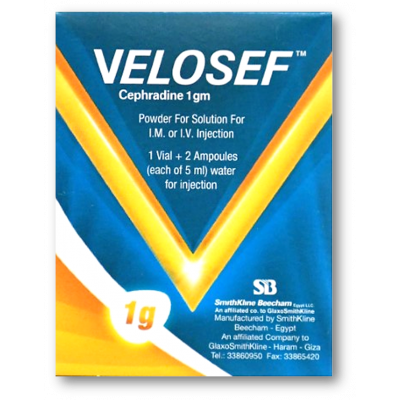 VELOSEF 1 GM ( CEPHRADINE ) POWDER FOR SOLUTION FOR IM / IV INJECTION VIAL